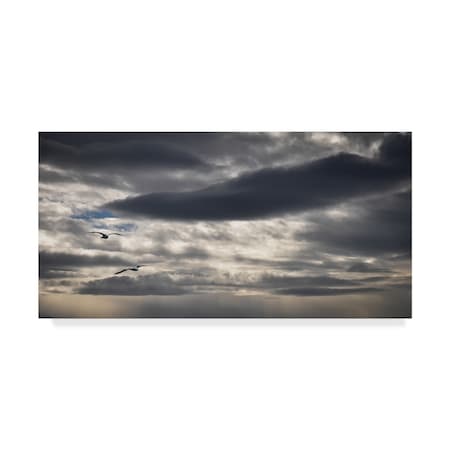 Thierry Lagandre 'Threatening Clouds' Canvas Art,16x32